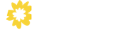 Zomerpark Festival