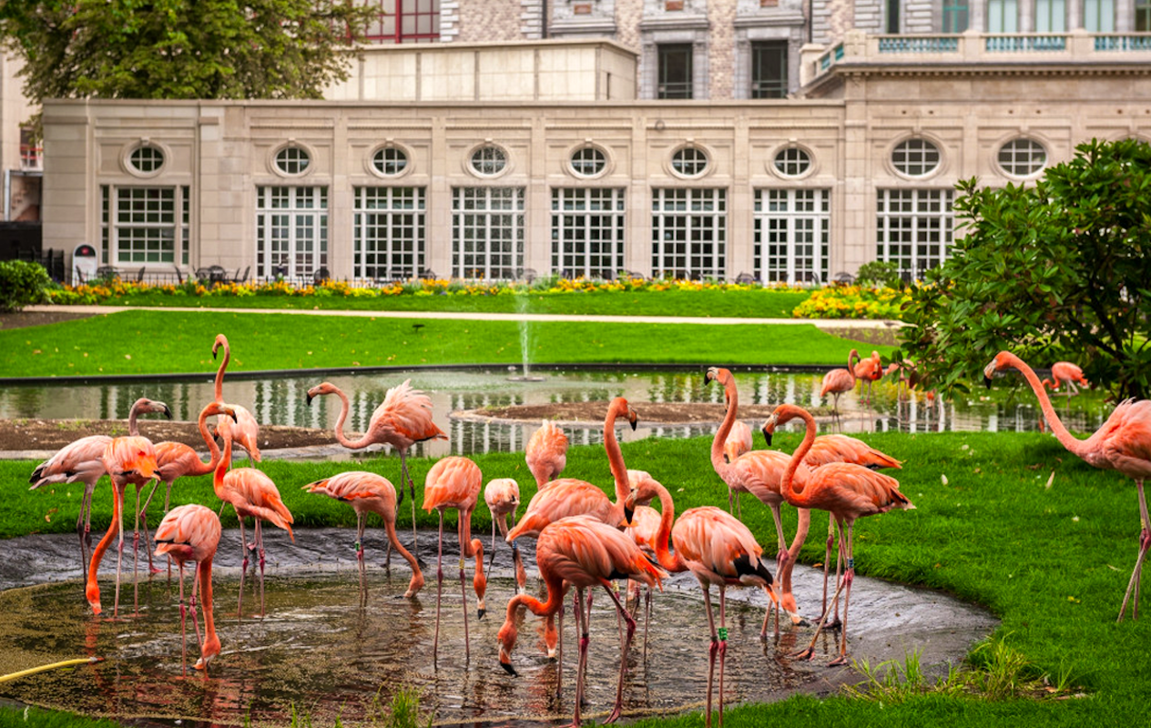 Entreeticket ZOO Antwerpen