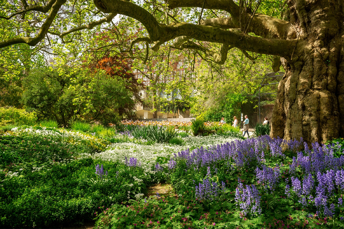 Billet d'entrée au zoo d'Anvers