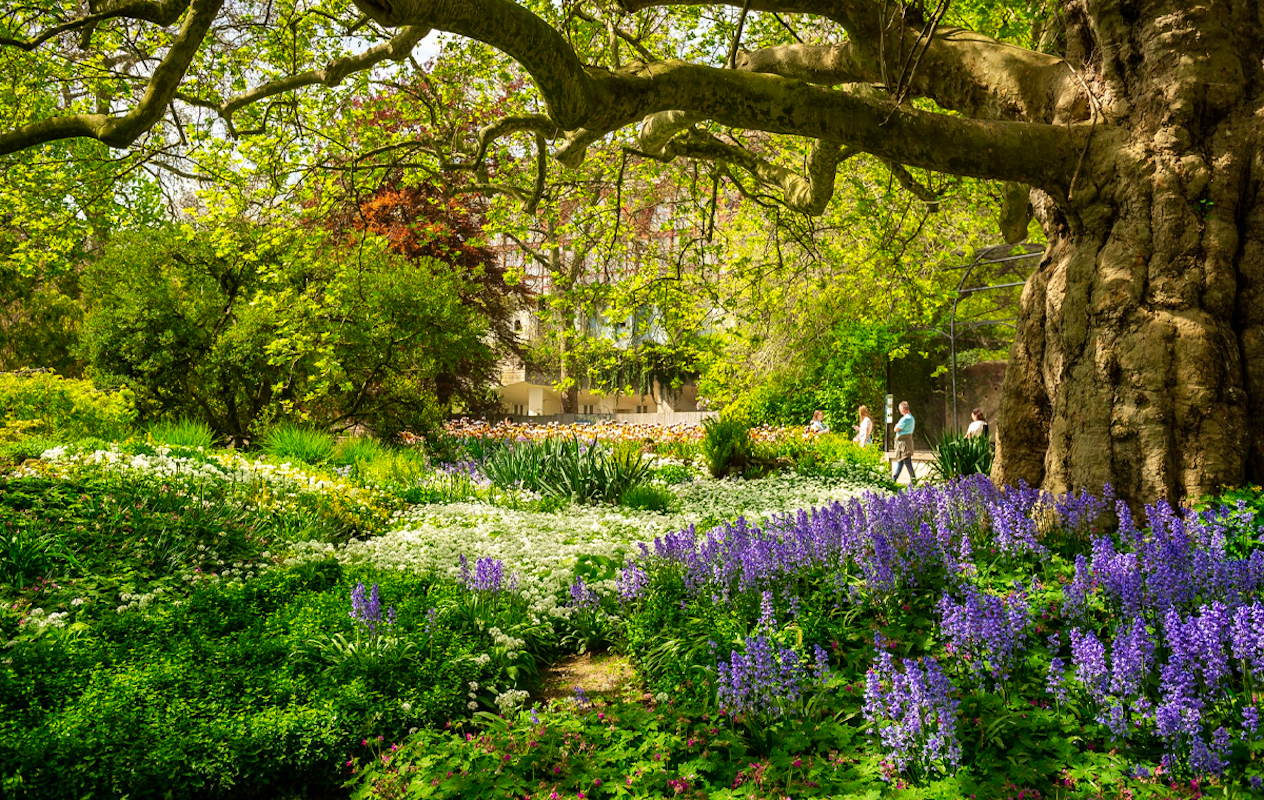 Entreeticket ZOO Antwerpen