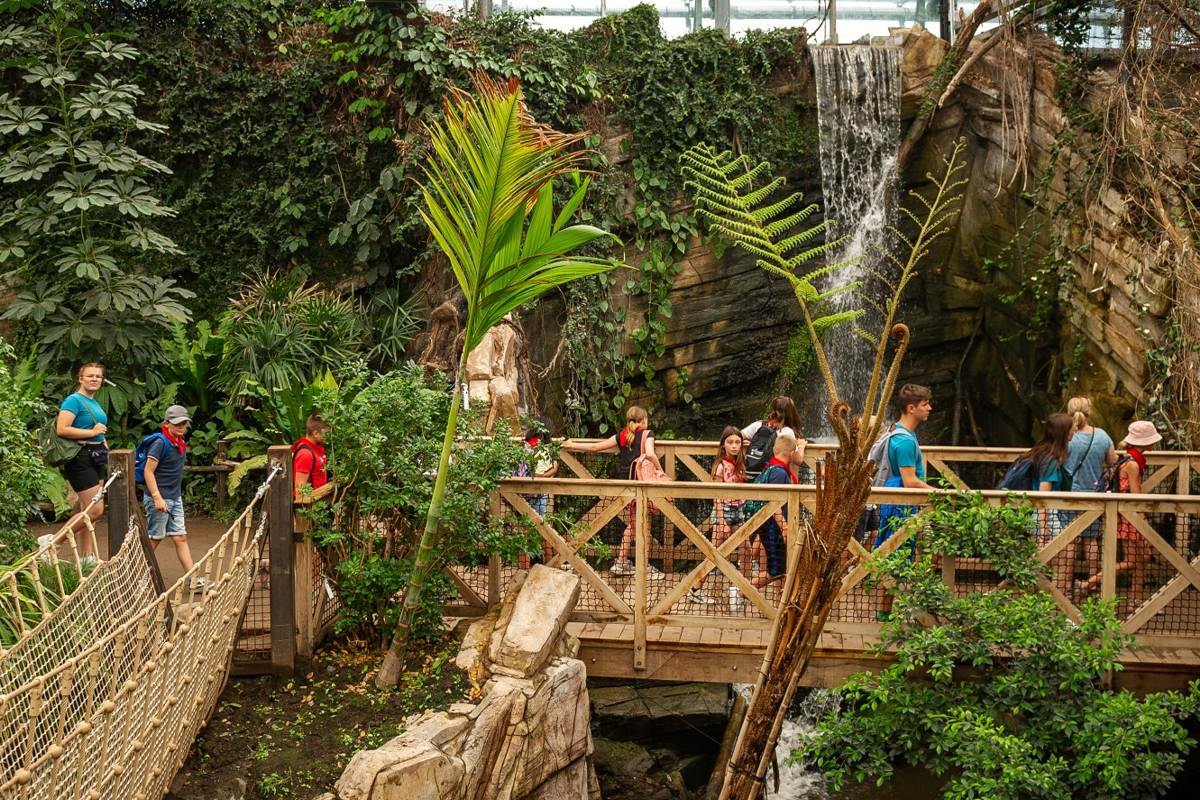 Entreeticket ZOO Planckendael