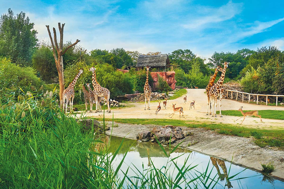 Entreeticket ZOOM Erlebniswelt