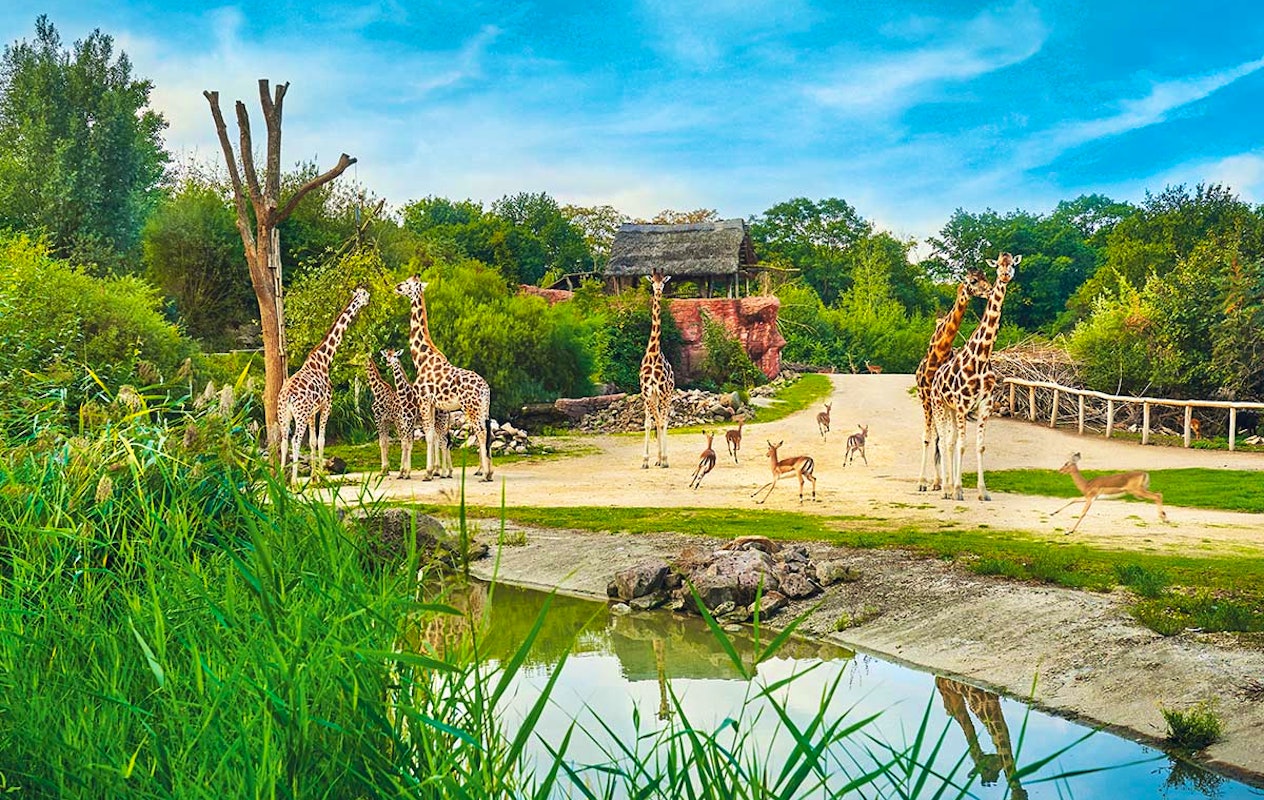 Entreeticket ZOOM Erlebniswelt