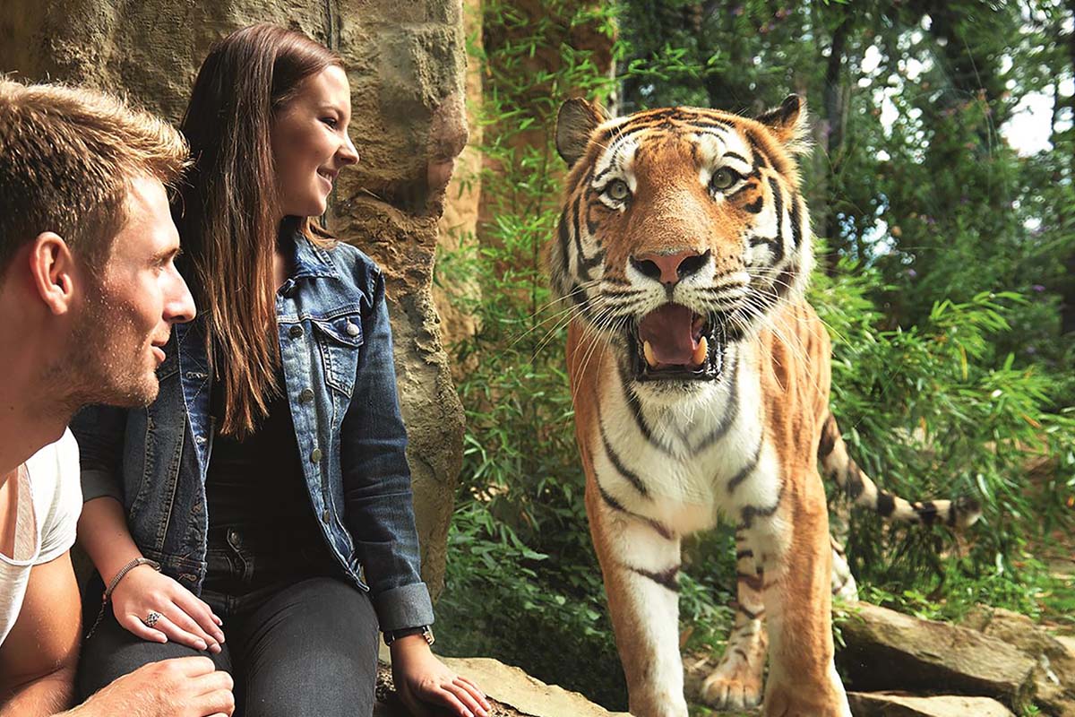 Entreeticket ZOOM Erlebniswelt