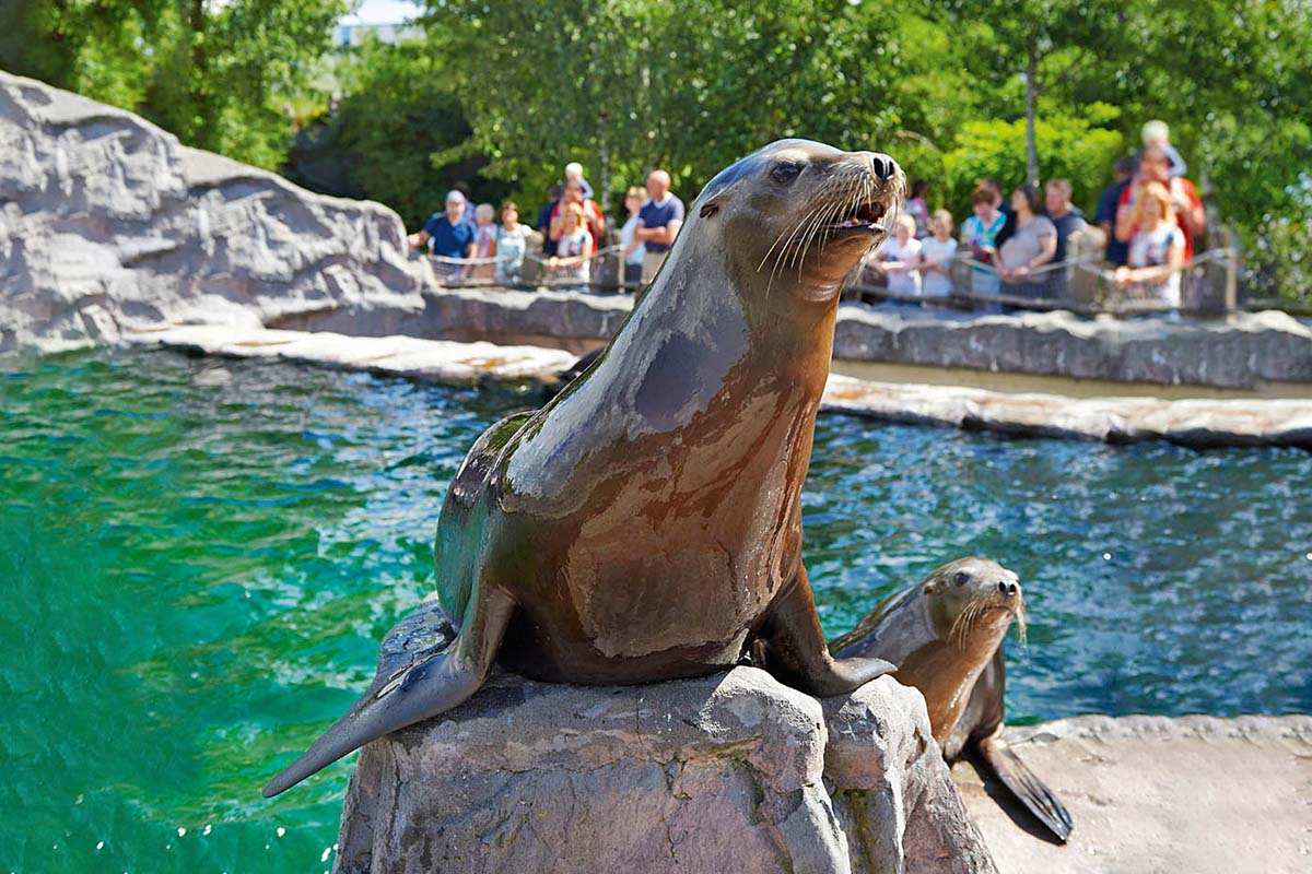 Entreeticket ZOOM Erlebniswelt