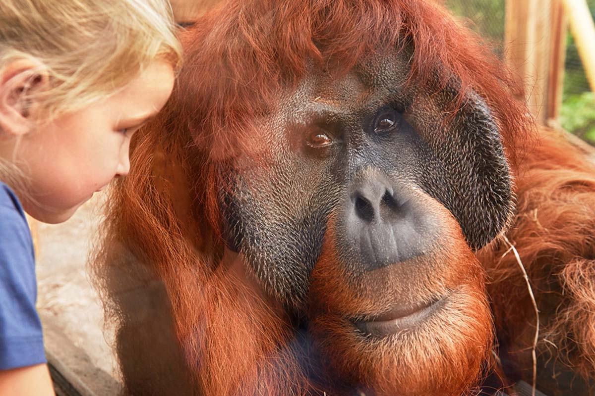 Entreeticket ZOOM Erlebniswelt