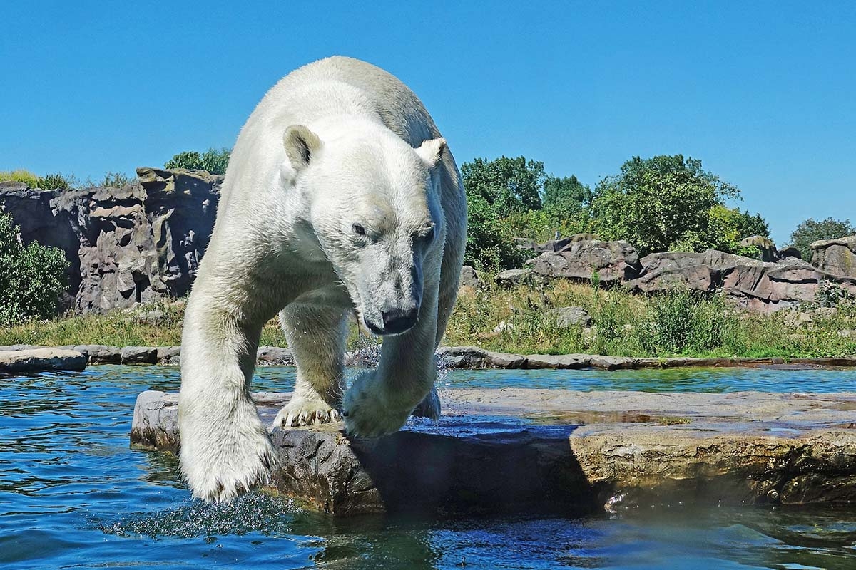 Entreeticket ZOOM Erlebniswelt