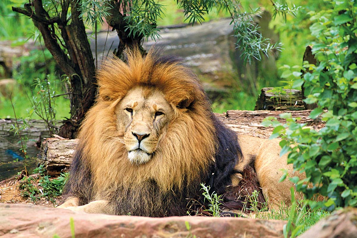 Entreeticket ZOOM Erlebniswelt