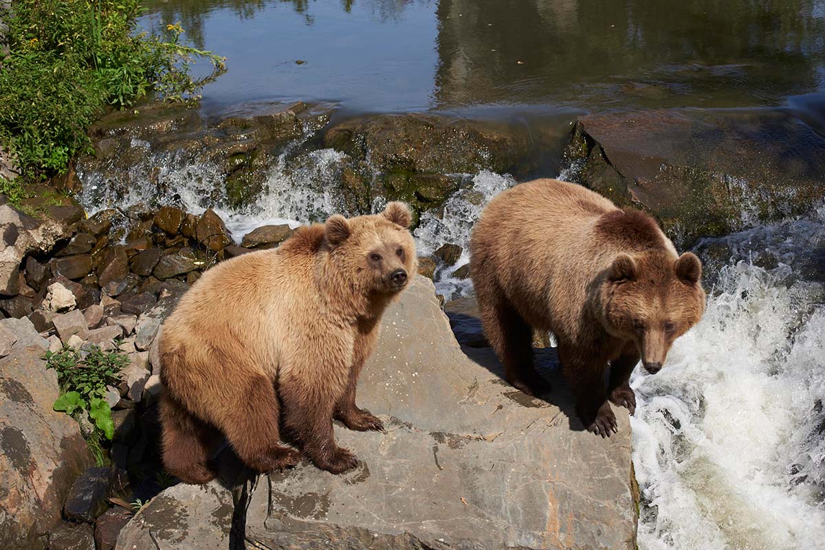 Entreeticket ZOOM Erlebniswelt