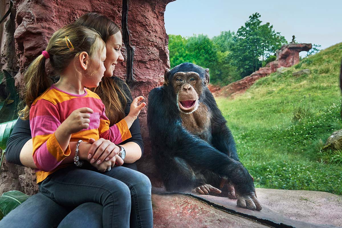 Entreeticket ZOOM Erlebniswelt