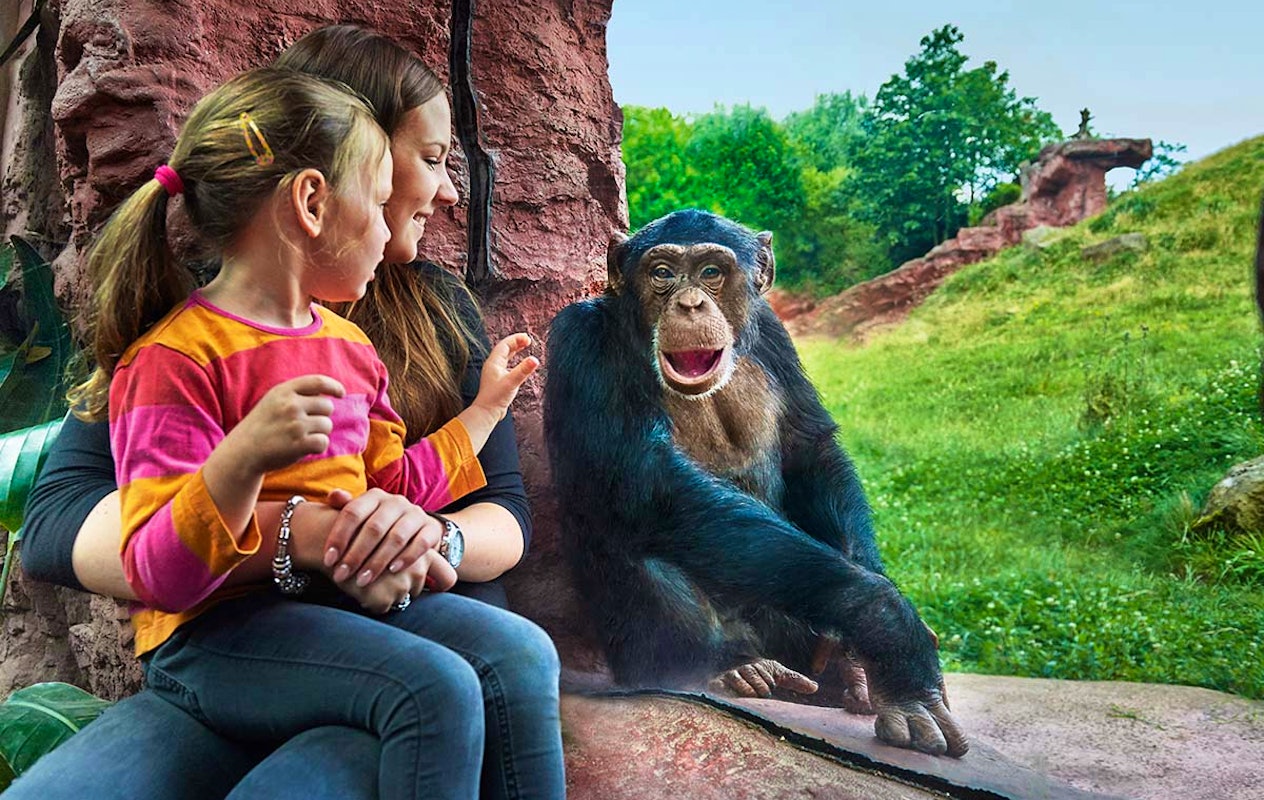 Entreeticket ZOOM Erlebniswelt