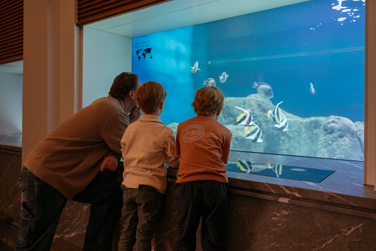 Entreeticket Zoomeravonden ARTIS-Park