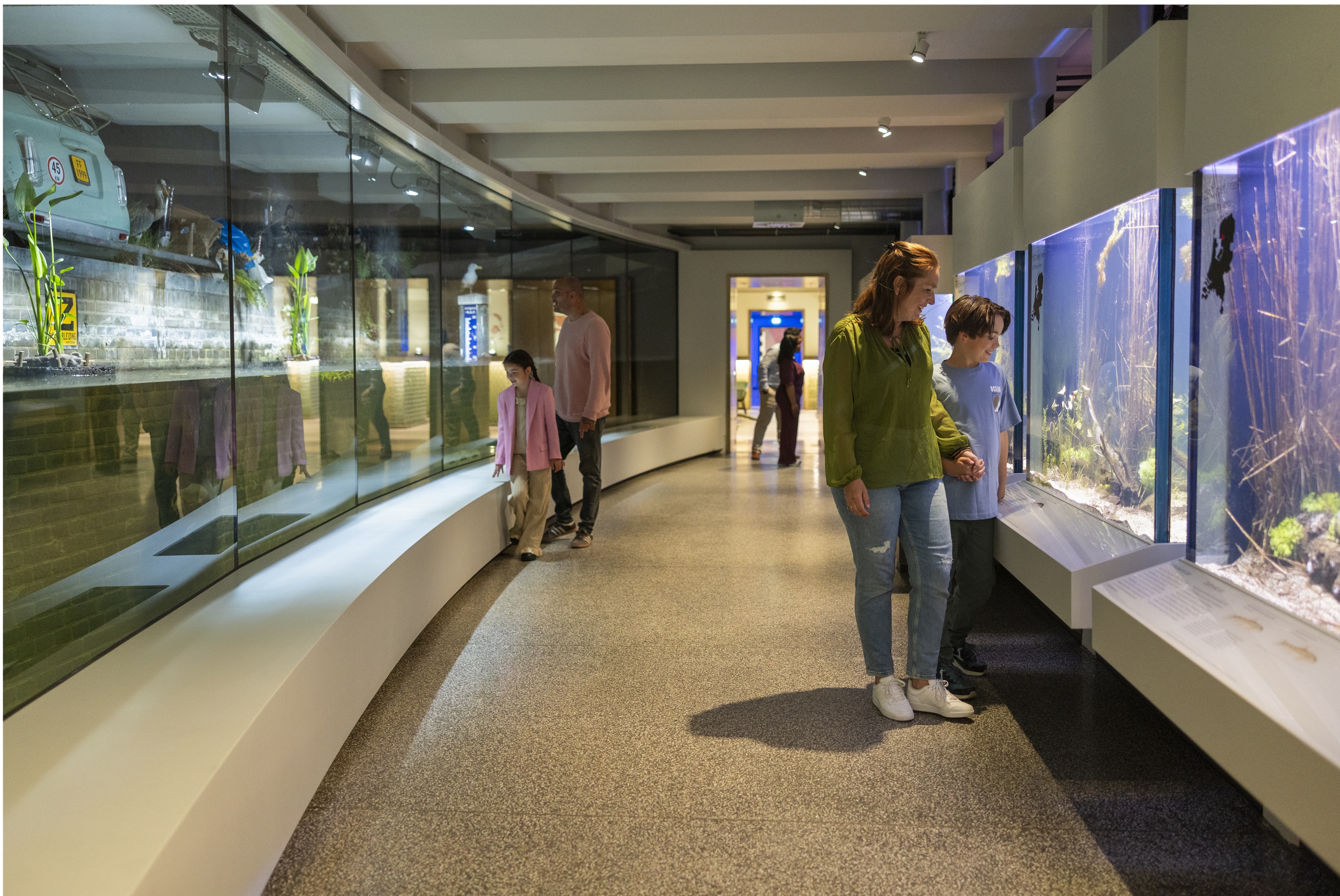 Entreeticket Zoomeravonden ARTIS-Park