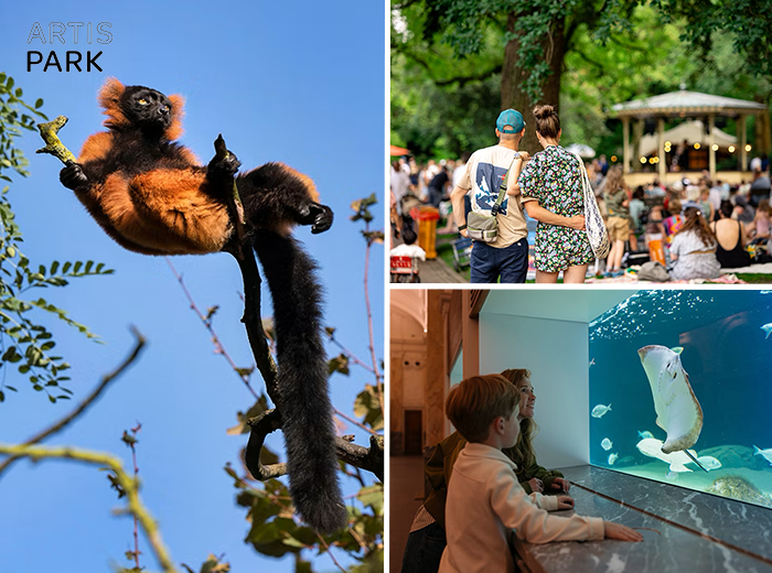 Entreeticket Zoomeravonden ARTIS-Park