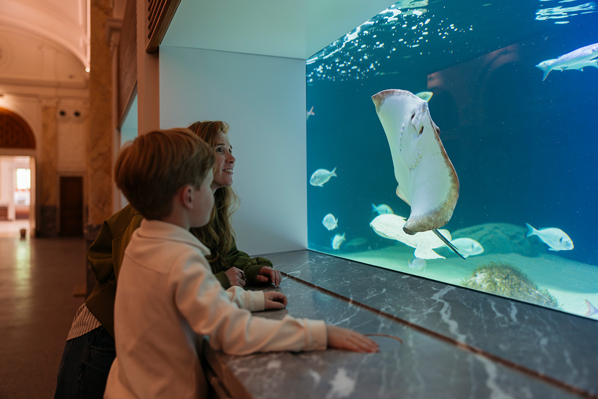 Entreeticket Zoomeravonden ARTIS-Park