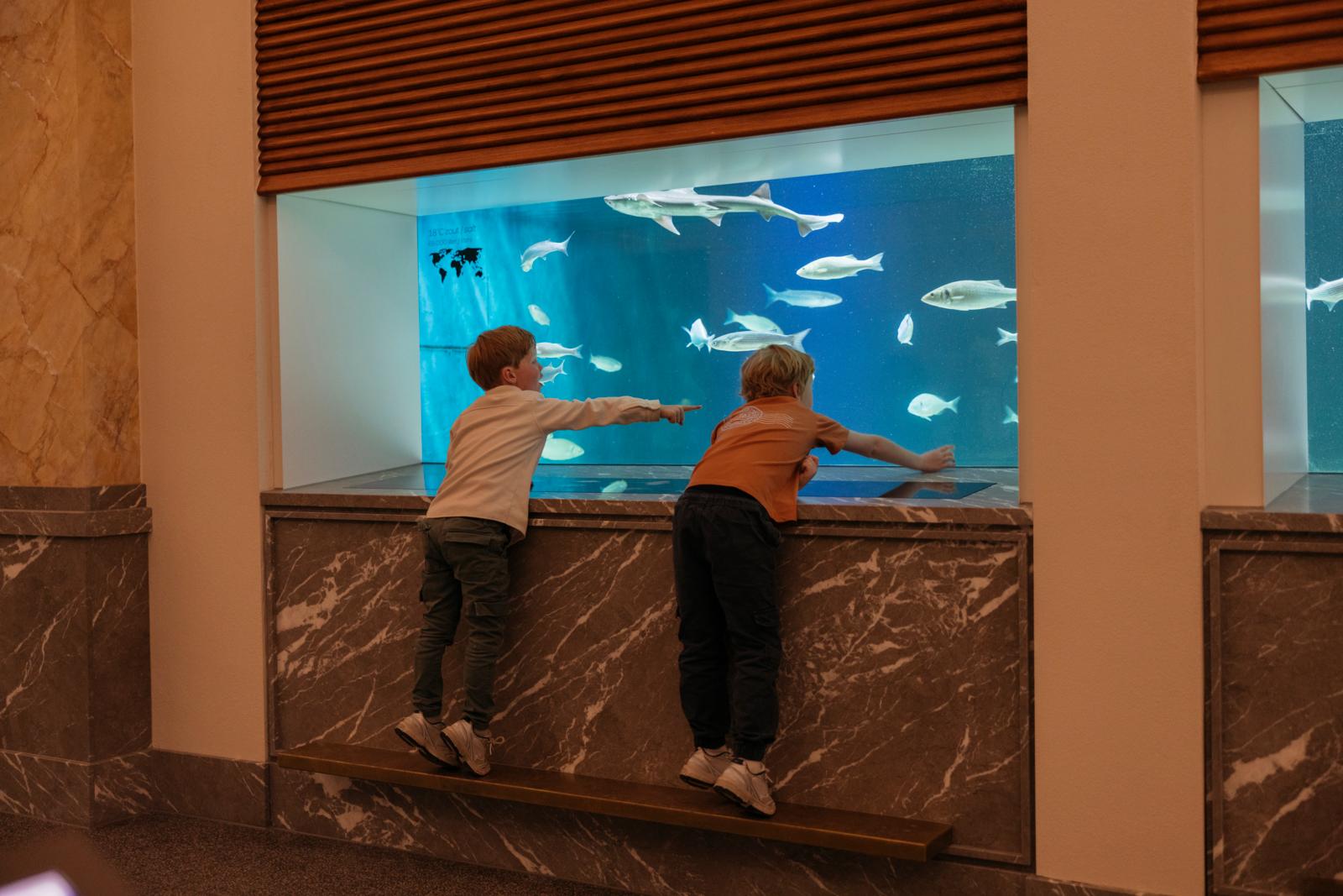 Entreeticket Zoomeravonden ARTIS-Park