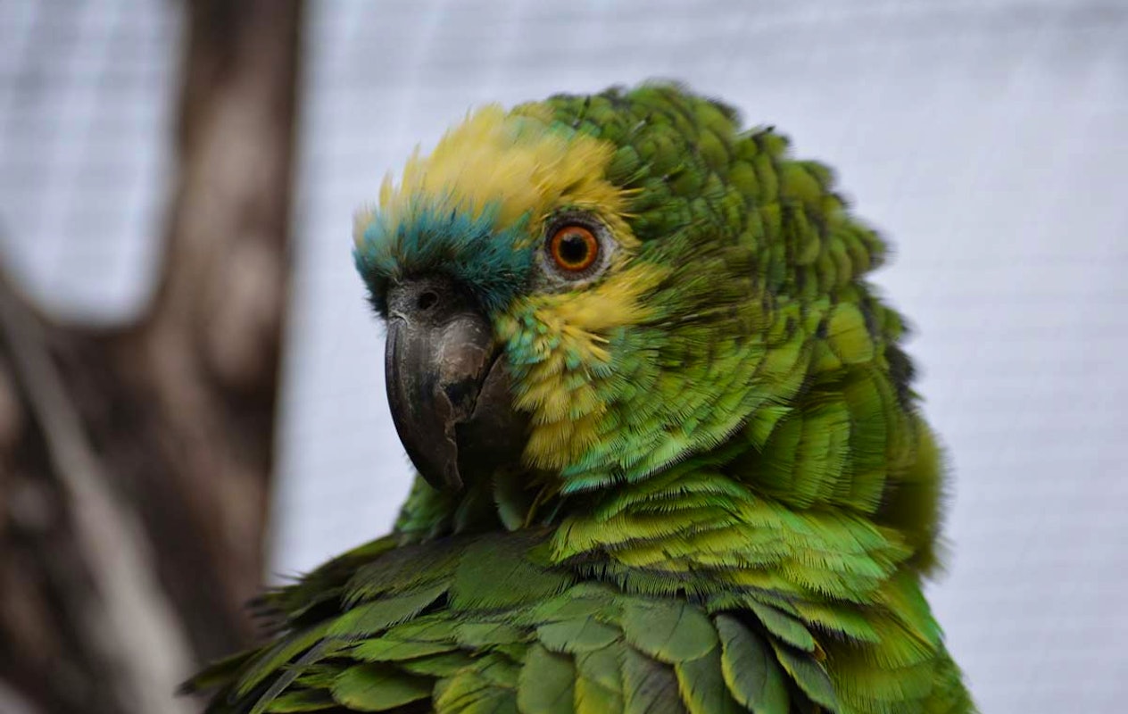 Entreeticket ZooParc Vallée de la Sûre