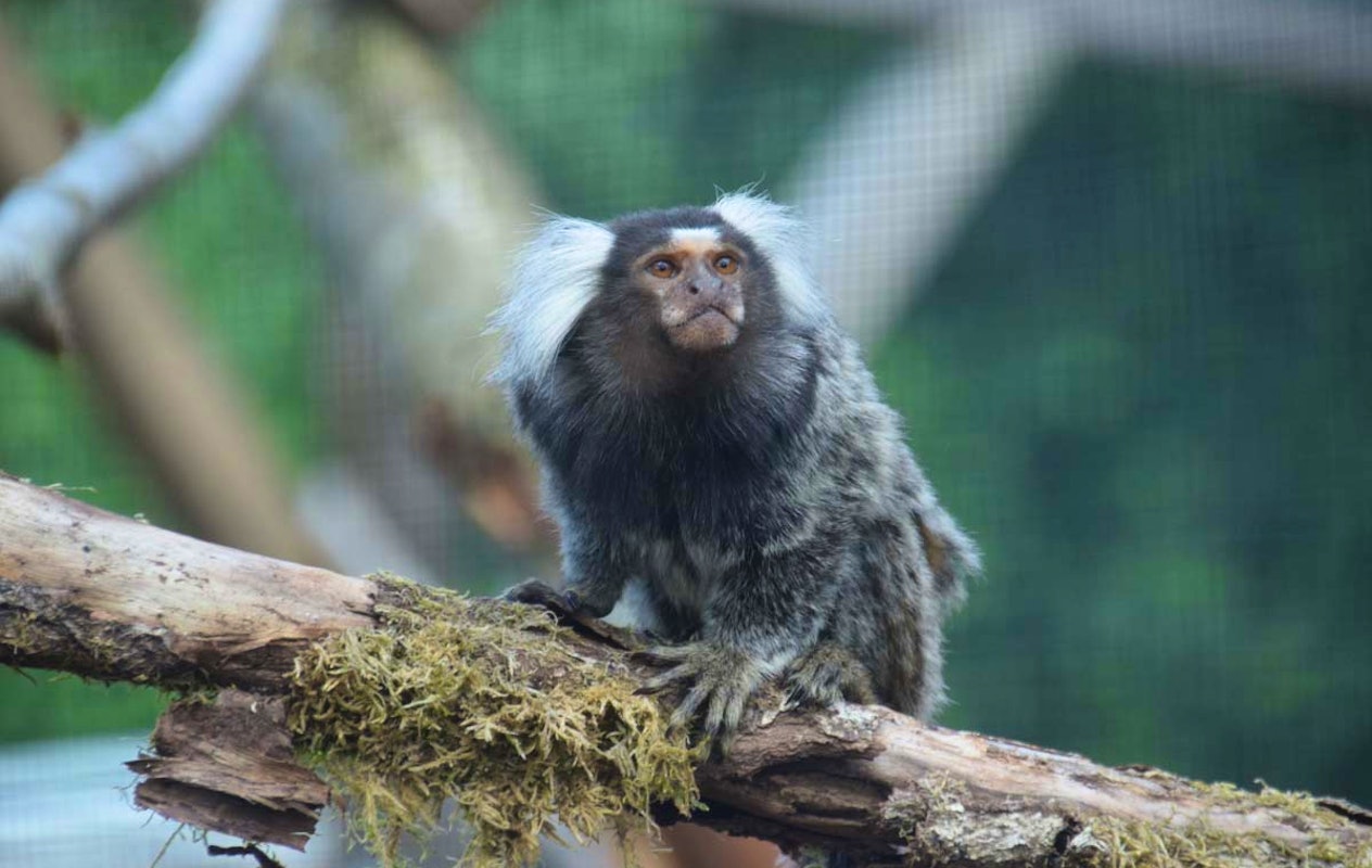 Entreeticket ZooParc Vallée de la Sûre