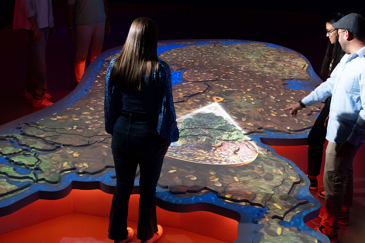 Entreeticket THIS IS HOLLAND