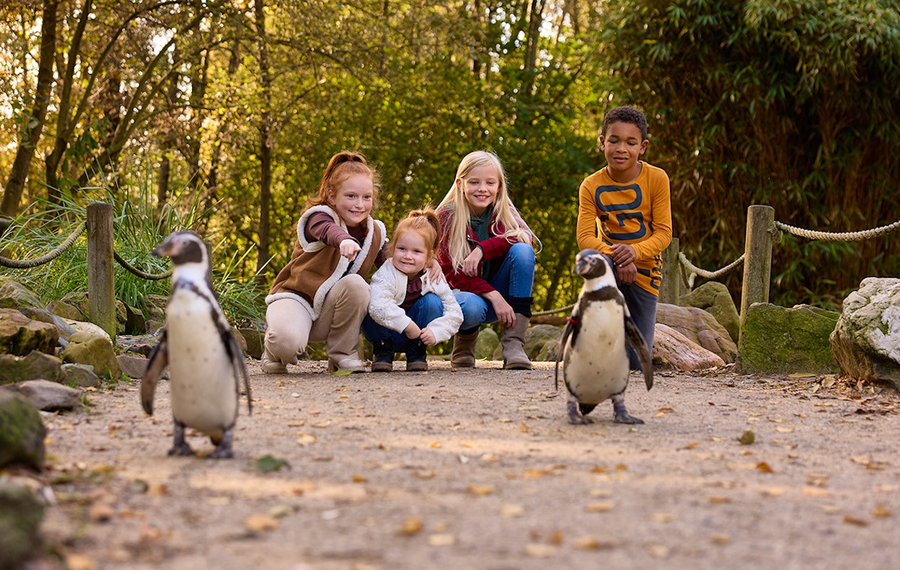 Entreeticket AquaZoo Leeuwarden