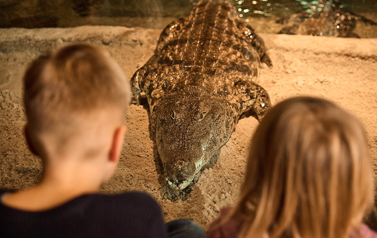 Entreeticket AquaZoo Leeuwarden