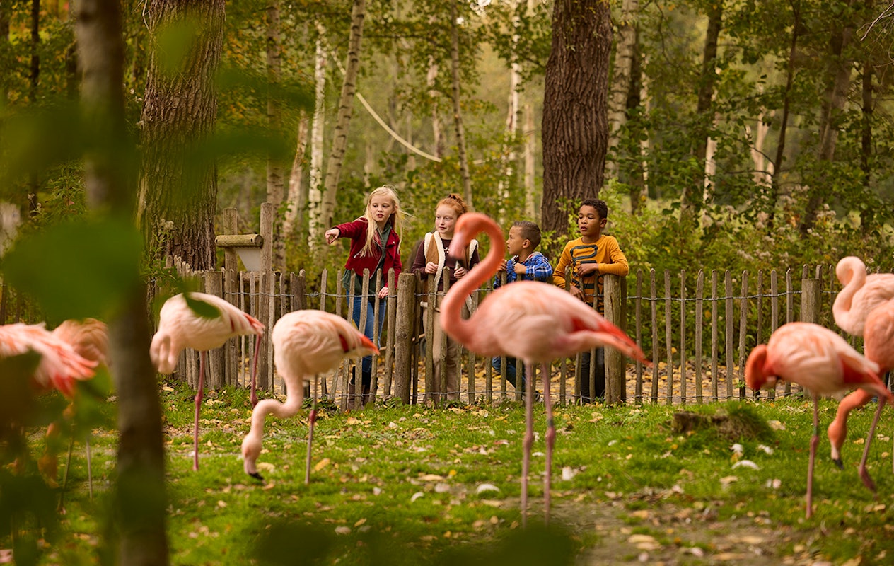 Entreeticket AquaZoo Leeuwarden