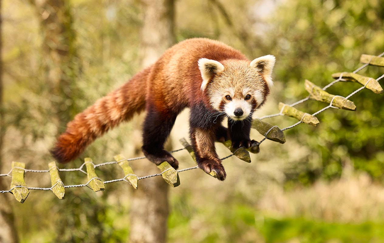 Entreeticket AquaZoo Leeuwarden