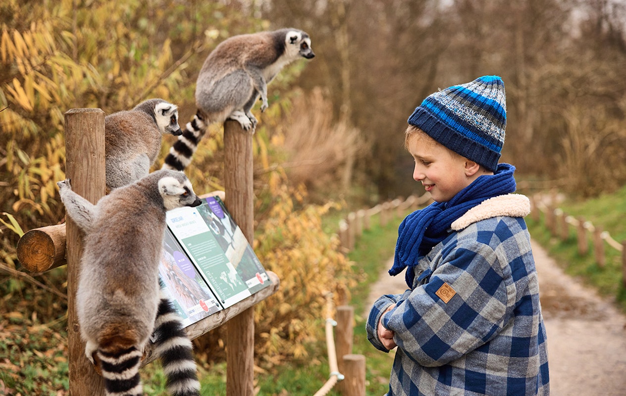 Entreeticket AquaZoo Leeuwarden