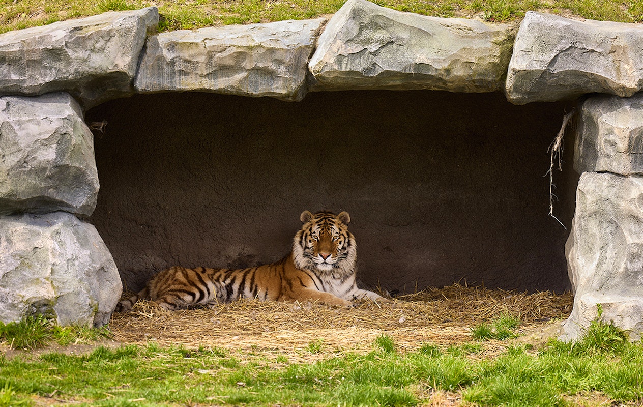 Entreeticket AquaZoo Leeuwarden