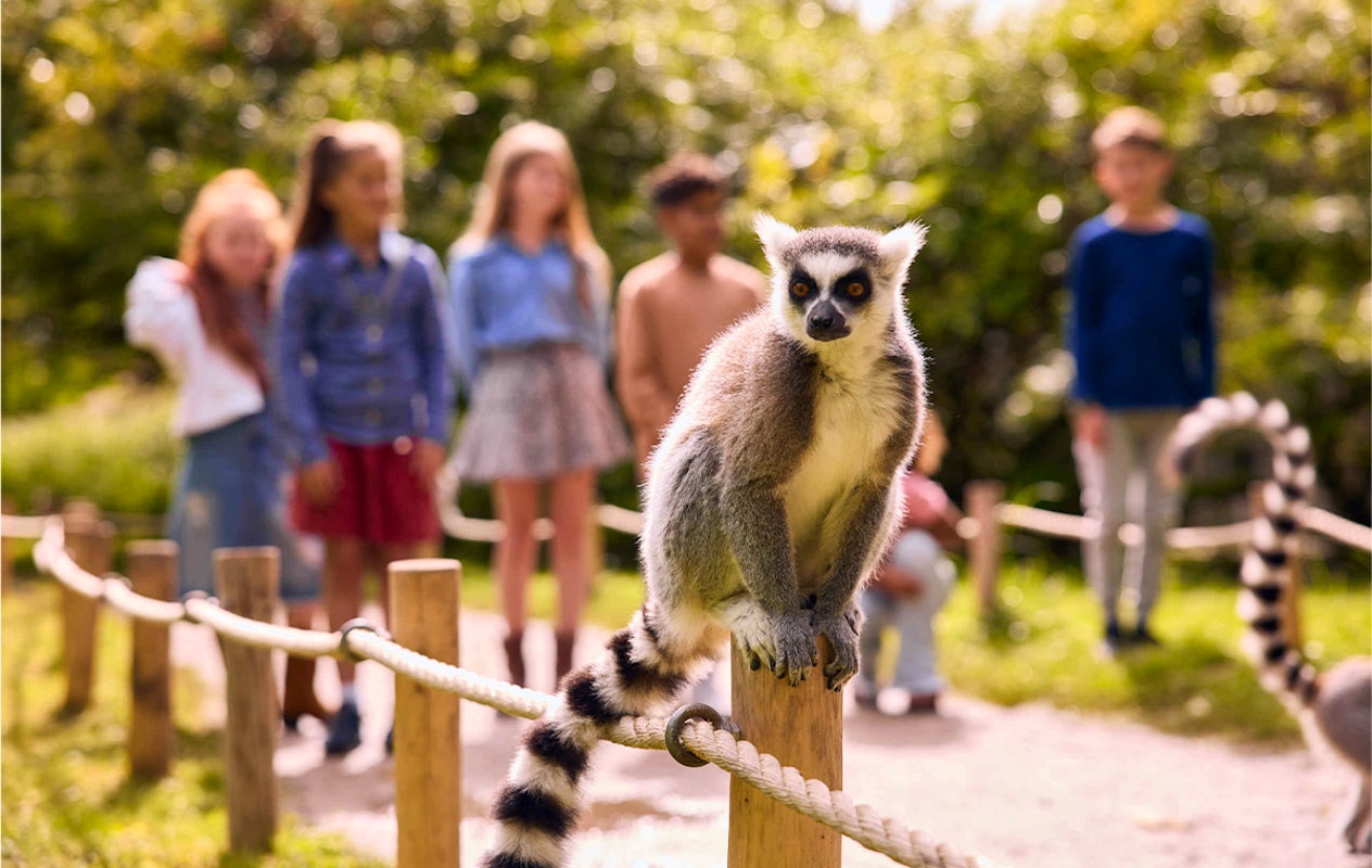 Entreeticket AquaZoo Leeuwarden
