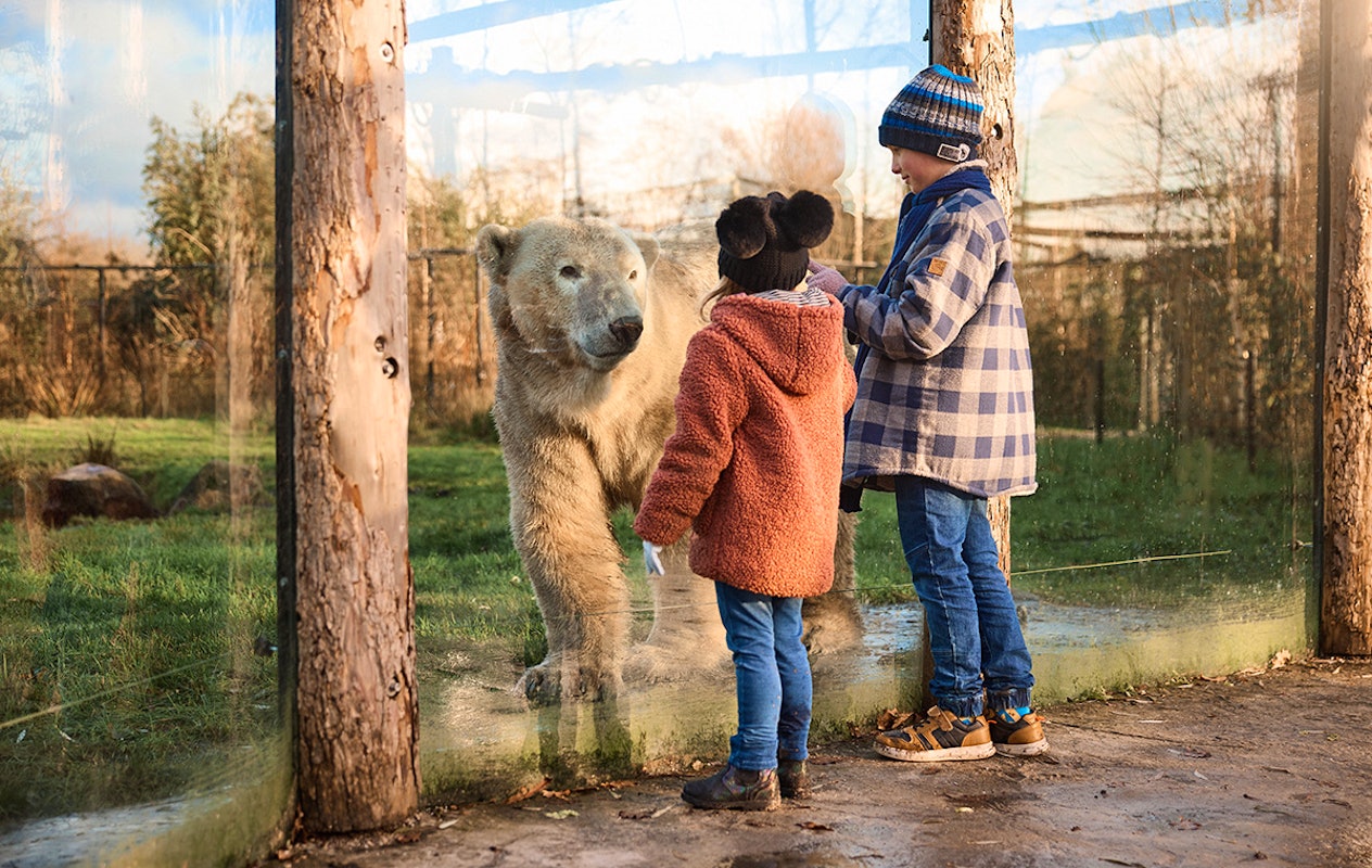 Entreeticket AquaZoo Leeuwarden