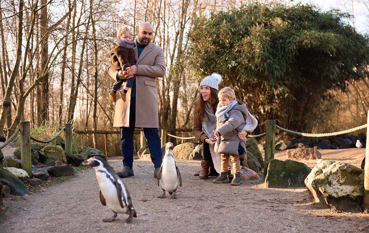 Entreeticket AquaZoo Leeuwarden