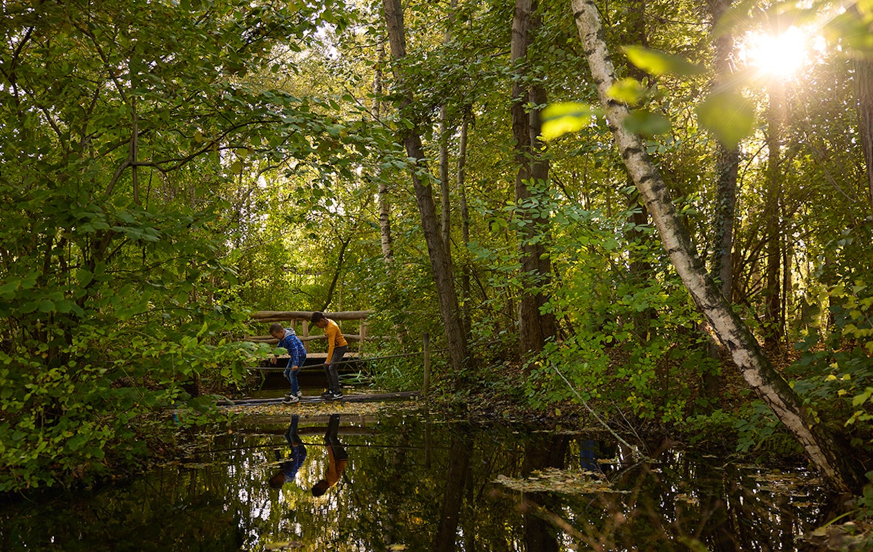 Entreeticket AquaZoo Leeuwarden