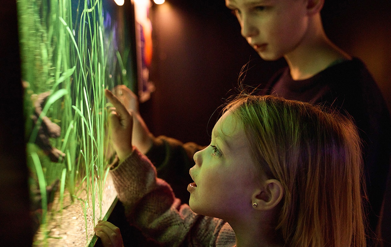 Entreeticket AquaZoo Leeuwarden