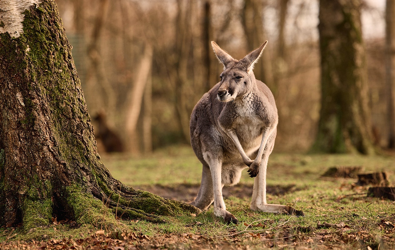 Entreeticket AquaZoo Leeuwarden
