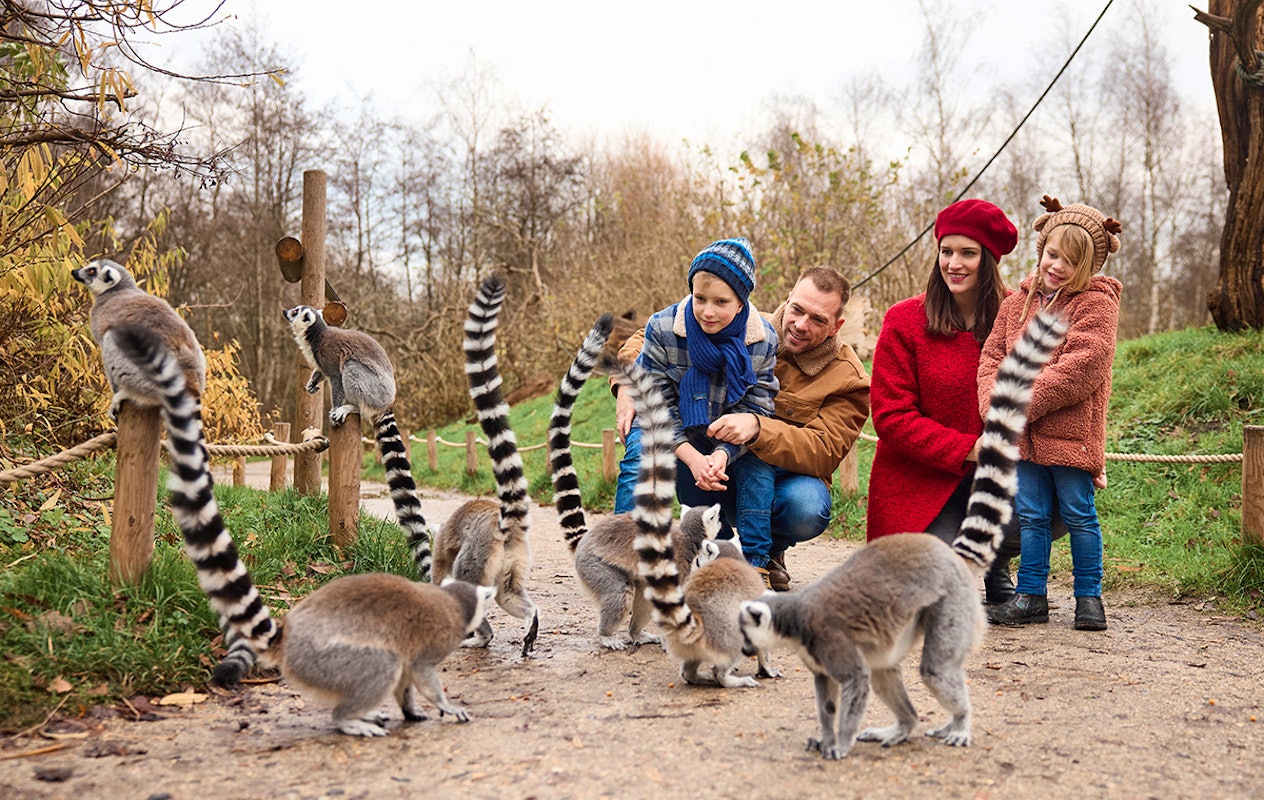 Entreeticket AquaZoo Leeuwarden