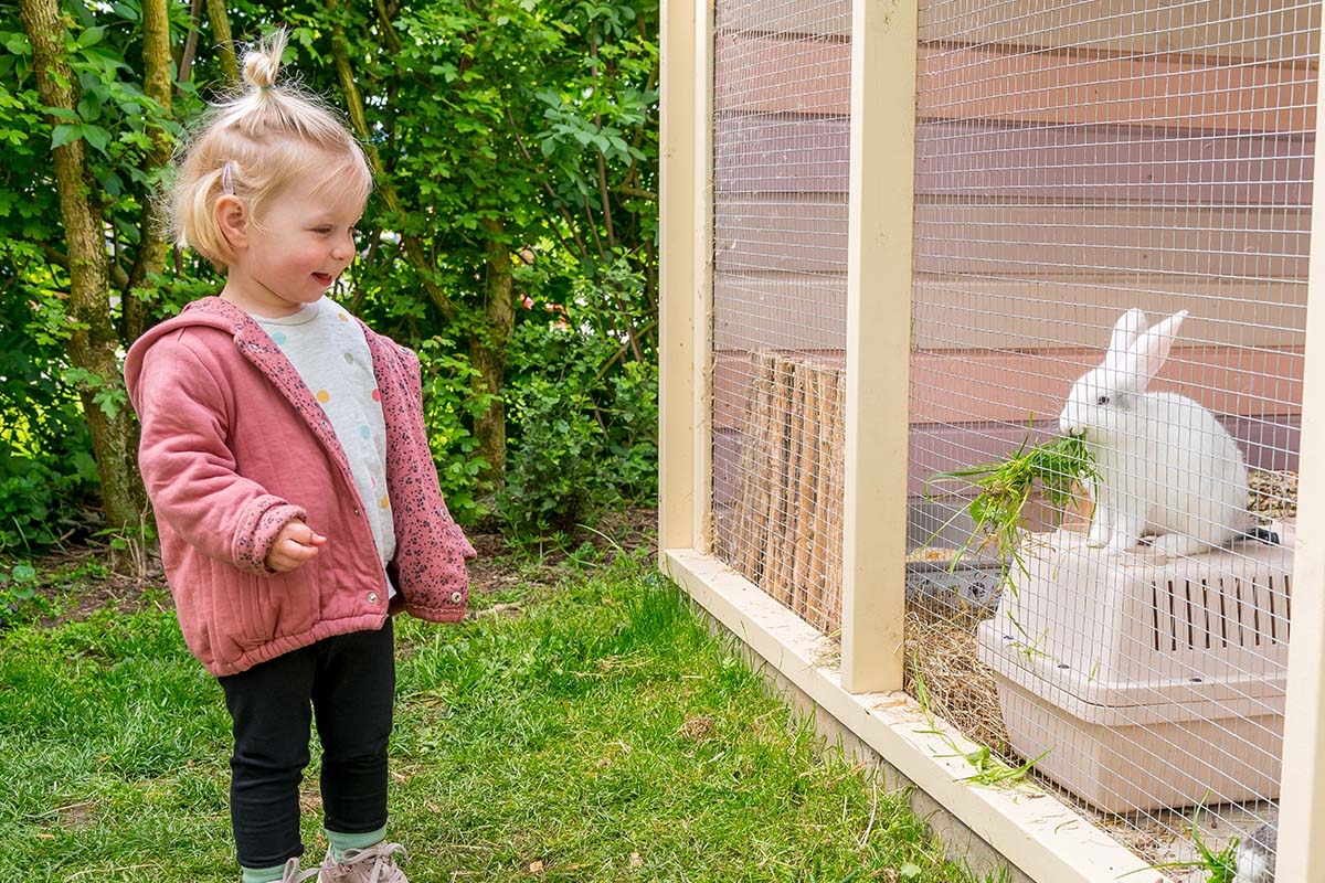 Entreeticket Avonturenboerderij Molenwaard