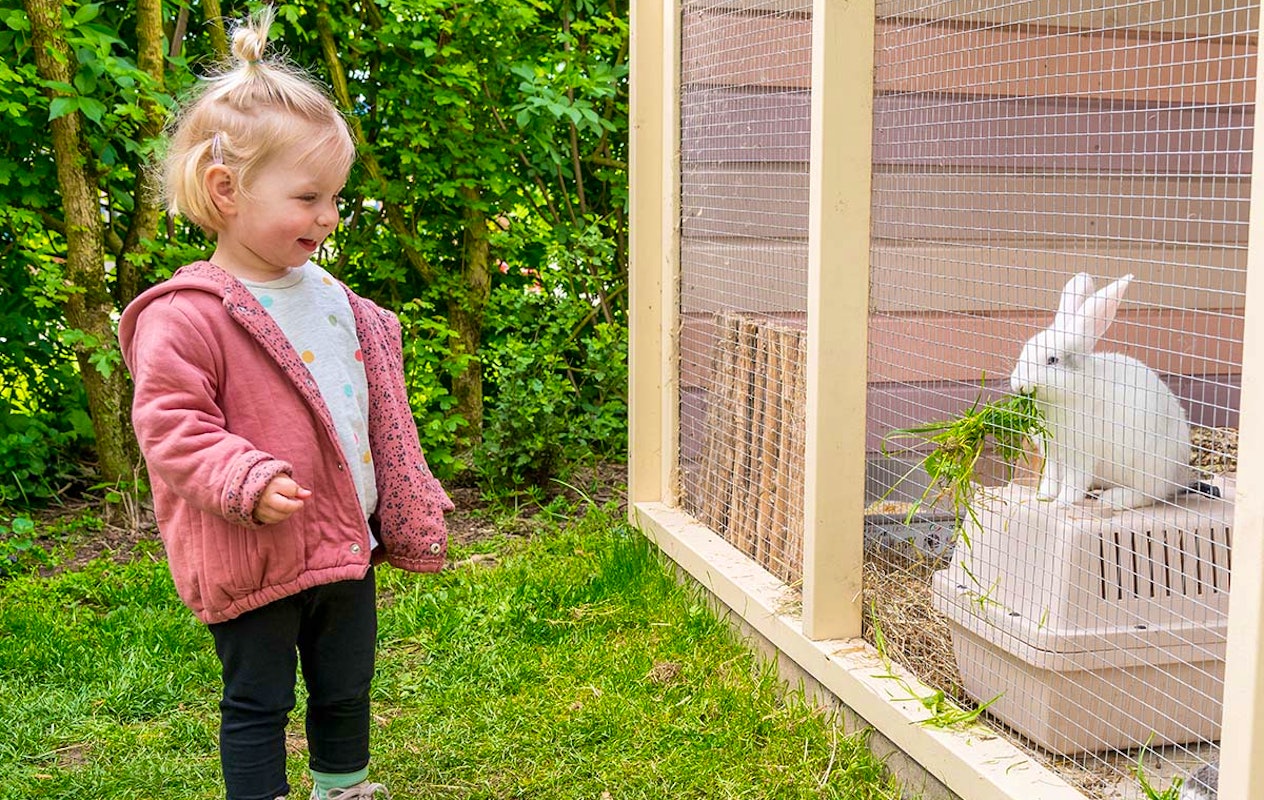 Entreeticket Avonturenboerderij Molenwaard