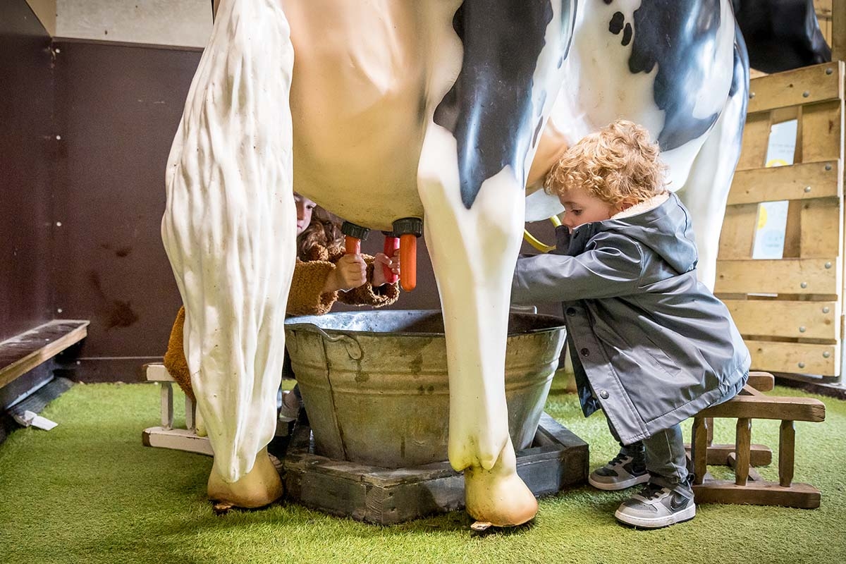 Entreeticket Avonturenboerderij Molenwaard