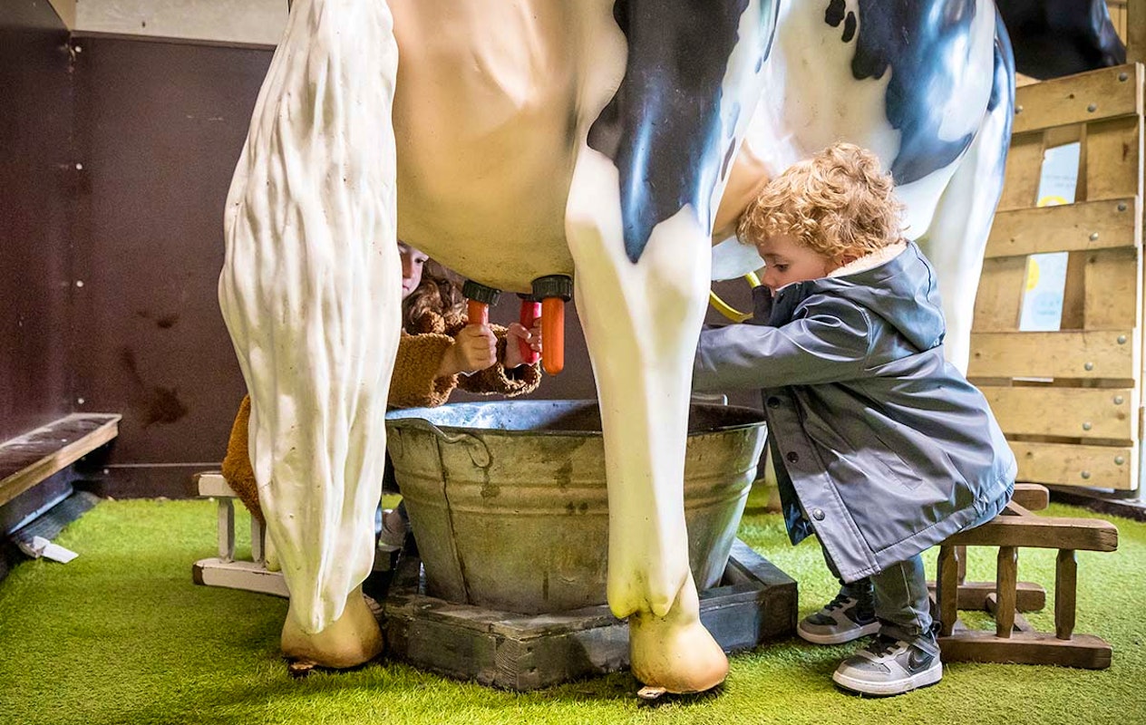 Entreeticket Avonturenboerderij Molenwaard