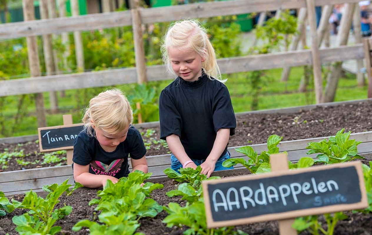 Entreeticket Avonturenboerderij Molenwaard