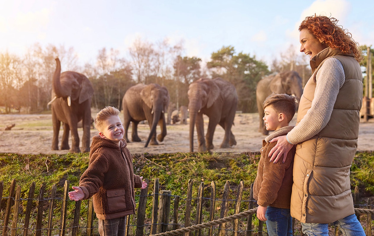 Entreeticket Safaripark Beekse Bergen