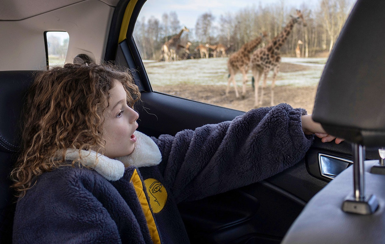 Entreeticket Safaripark Beekse Bergen