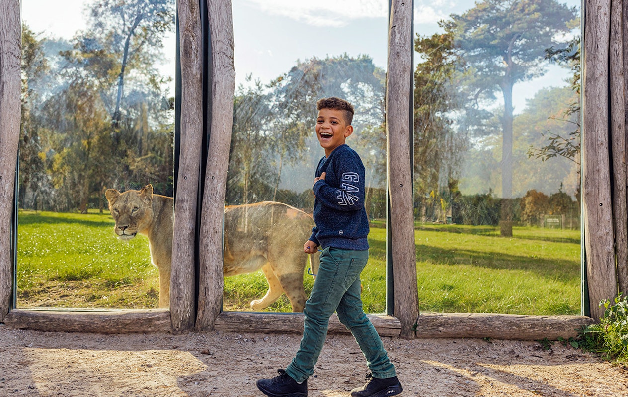 Entreeticket Safaripark Beekse Bergen