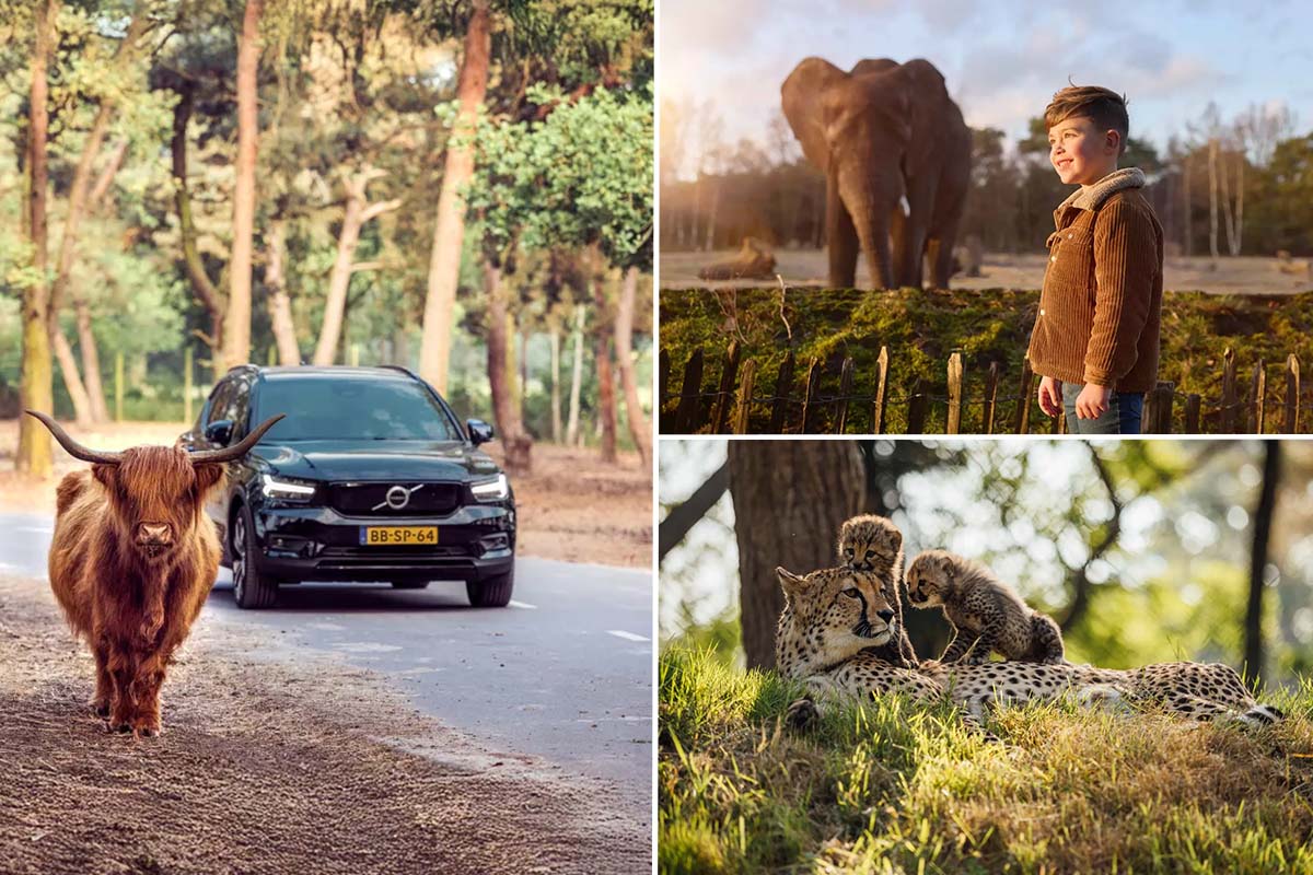 Entreeticket Safaripark Beekse Bergen