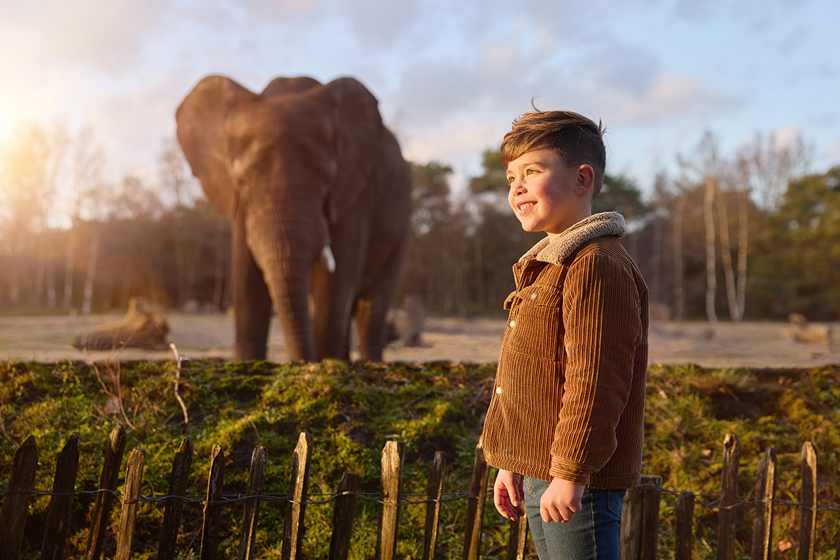 Entreeticket Safaripark Beekse Bergen