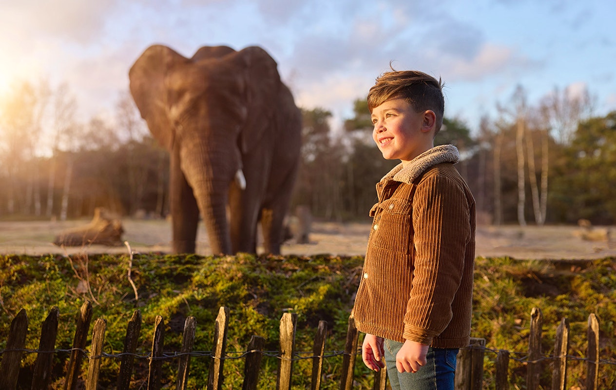 Entreeticket Safaripark Beekse Bergen