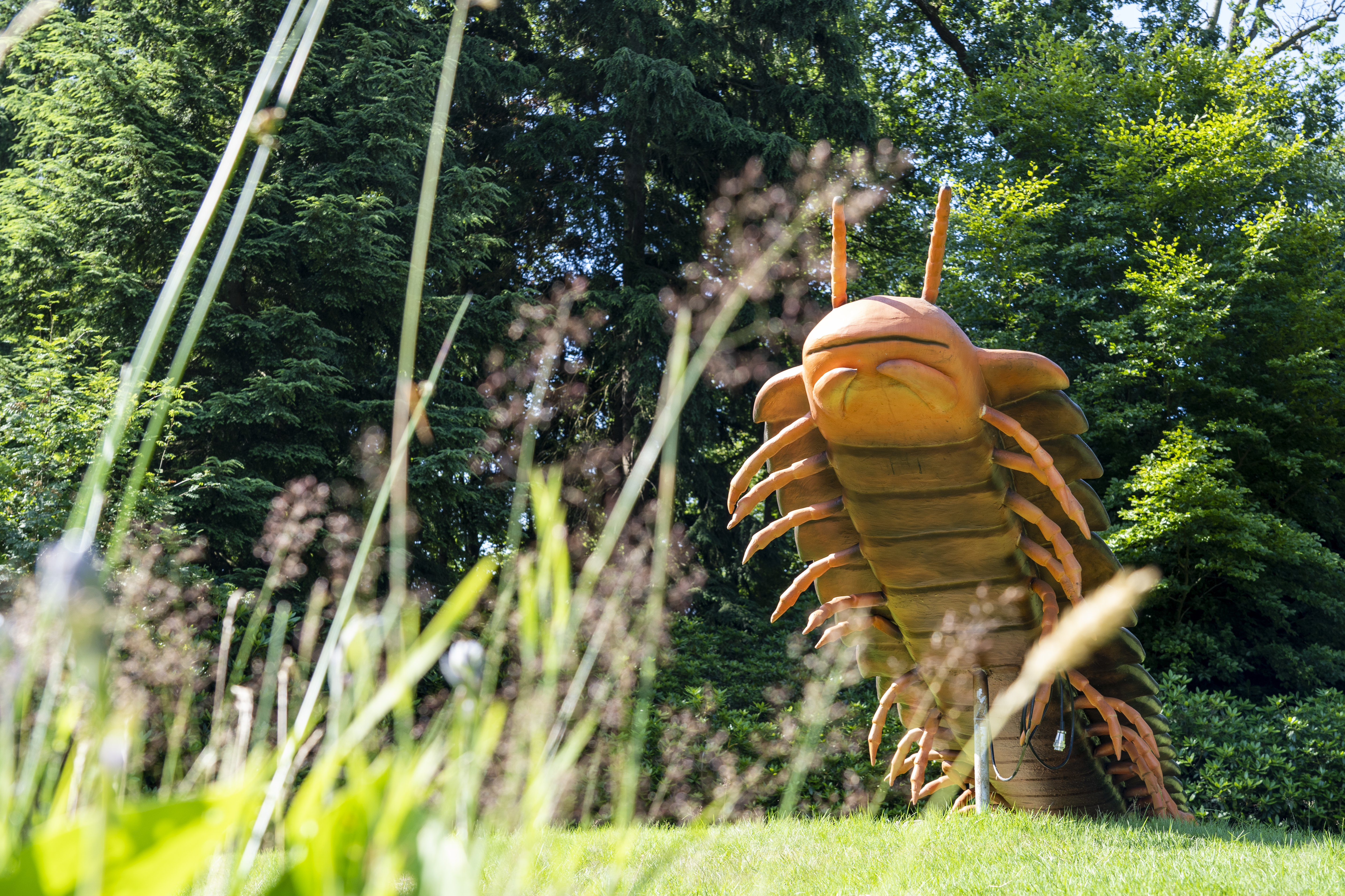 Entreeticket voor BIG INSECTS bij Paleis Soestdijk in Baarn