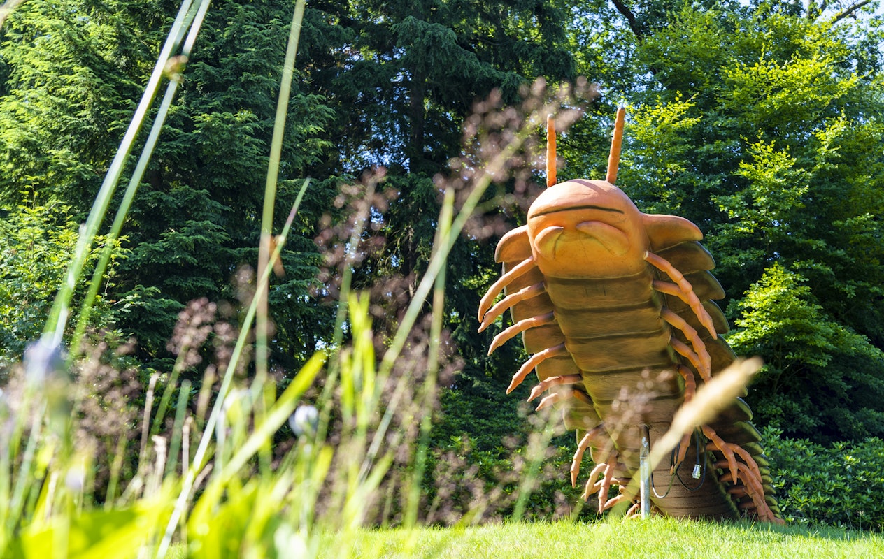 Entreeticket voor BIG INSECTS bij Paleis Soestdijk in Baarn