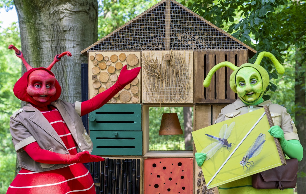 Entreeticket voor BIG INSECTS bij Paleis Soestdijk in Baarn